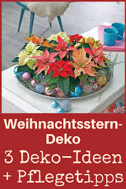 Deko Mit Weihnachtssternen Selbst De Weihnachtsstern Weihnachtsdeko Fensterbank Weihnachten Dekoration