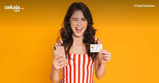 Permohonan kartu kredit bank mandiri bisa dilakukan dengan dua cara: Banyak Manfaatnya Ini Review Kartu Kredit Mayapada Platinum Card
