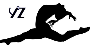 Presenta diverse discipline, alcune delle quali rientrano nel programma olimpico; Ginnastica Artistica Bologna Yuppies Zavattaro A S D