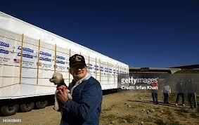 449 Loftis Stock Photos, High-Res Pictures, and Images