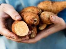 Is sweet potato healthier than potato?