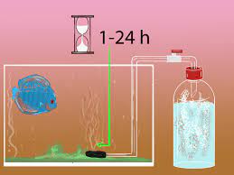 How To Make A Co2 Reactor For An Aquarium Aquarium Planted Aquarium Aquaponic Gardening