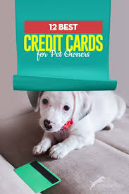 This helps you separate personal and business expenses by putting your business' expenses all in one place. The 12 Best Credit Cards For Pet Owners Pet Owners Best Credit Cards Pets