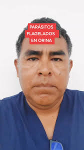 #parasitologia #microbiologia #laboratorioclinico #orina #parasitologia  #trichomonas #trichomonashominis #uroanalisis