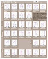 9 body chart templates word pdf free premium templates