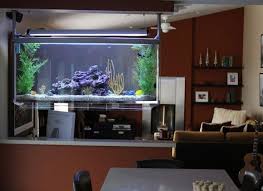 16 Wirklich Erstaunliche Innenraume Mit Faszinierendem Aquarium Inneneinrichtung Innenraum Und Aquarium Design