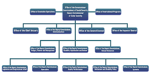 35 Unique E Myth Organizational Chart Example