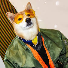 Welcome to the doge empire! Menweardogs Dog Dog Education Puppy Click On The Link Below To Educate Your Dogs Easily Shiba Inu Shiba Your Dog