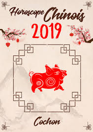 Epingle Sur Astrologie Chinoise Et Horoscope Chinois 2019 Annee Du Cochon De Terre
