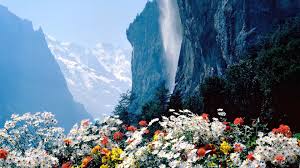 Check spelling or type a new query. Flower Mountain Wallpapers Top Free Flower Mountain Backgrounds Wallpaperaccess