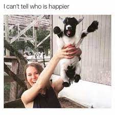 Yes, peeku was happy with himself at the beginning of the story because he was satisfied that he is gifted with a clever mind. Who Is Happier 9gag