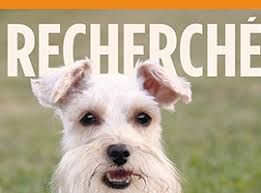 René Bégin graphic designer, ad creative and illustrator