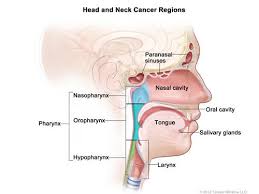 Ear pain, trouble hearing or ringing in the ears. Head And Neck Cancers National Cancer Institute