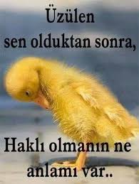 Sultan Donen Adli Kullanicinin Yasama Dayir Olumlu Bak Panosundaki Pin Guzel Soz Gercekler Edebiyat