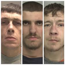 These are the faces of criminals who were jailed this week