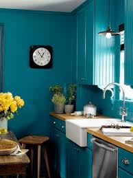 Montage 40 Kitchens In Every Color Of The Rainbow Stylecarrot White Farmhouse Sink Teal Kitchen Home Decor