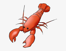 Go back to how to draw animals from the wild go back from how to draw a cartoon lobster to home page. How To Draw Lobster Drawing Png Image Transparent Png Free Download On Seekpng