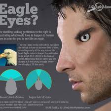 What If Humans Had Eagle Vision?