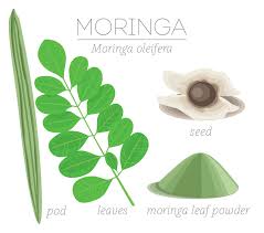 11 Surprising Facts About Moringa And How It Can Improve