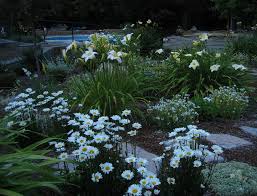In between consider climbing vines on a lattice. Perennials Forum Moon Gardens Garden Org
