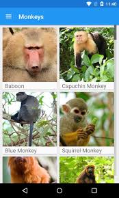 The current version of the extension preferred language script installations for backlist updates browser and operating system type. Monkeys App For Android Apk Download