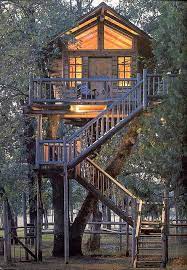 Treehouse 01 Cool Tree Houses Tree House Architecture