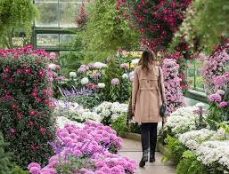 Flowers are one of the most beautiful creations of nature. Floral Showhouse
