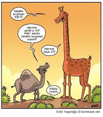 pin by mehman kagramanov on deyimler cartoons comics comics caricature