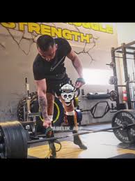 Anatoly Vs Larry Wheels