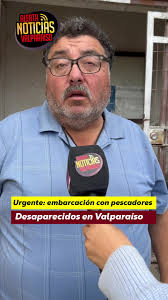 Perrito duerme plácidamente en micro de Valparaíso