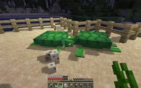 You must follow that turtle until it reaches a. How To Use Sea Turtle Eggs Minecraft
