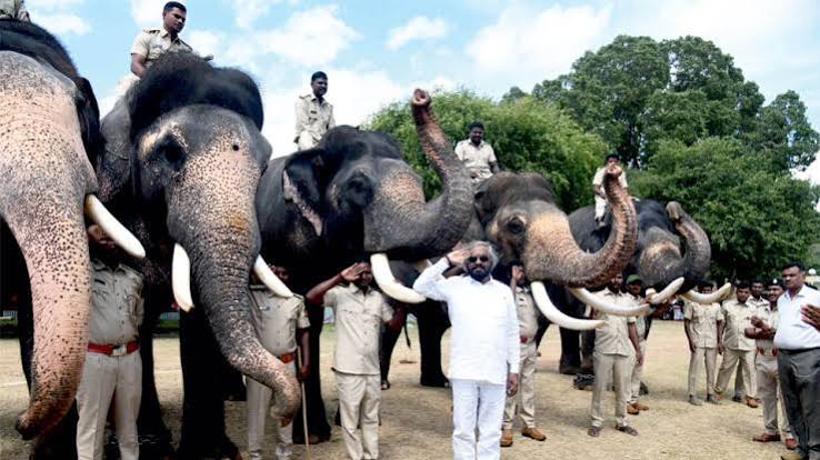 State elephant handlers known for skills: Khandre - Star of Mysore