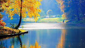 Change your new tabs into beautiful hd nature wallpapers. Hd Wallpaper Beautiful Pictures Of Nature Hd 1920x1080 Wallpaper Flare