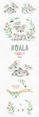 Pin On Koalas