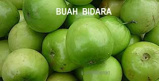 Karena pohon bidara arab akan berbuah. Anim Agro Technology Bidara Tempatan Di Raub Hebat