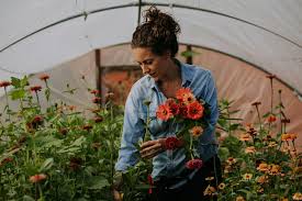 We did not find results for: Home Flowers From The Farm