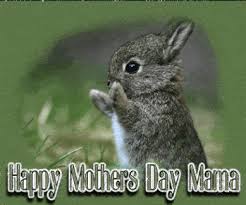 By preciousbaby63 picture created by preciousbaby63 using the free blingee photo design happy mother`s day pics for ecards, add happy mother`s day art to profiles and wall posts, customize photos for scrapbooking and more. Happy Mothers Day Gif 2021 Animated Mothers Day Gifs Images