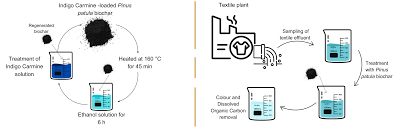 Image result for Indigofera patula