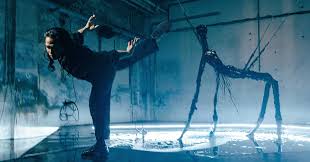 Bildergebnis für Joshua Serafin