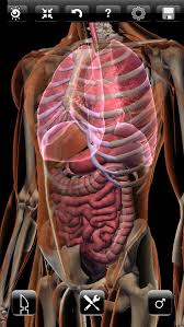 Zygote 3d Anatomy Atlas Dissection Lab Science For Kids Body Systems Health Chart