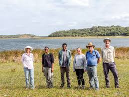 Image result for Tricliceras mossambicense