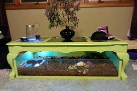 Diy Under Table Habitat Petdiys Com Tortoise Table Tortoise Care Tortoise Habitat