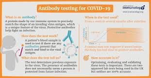 Q A B Cells And Antibodies In Covid 19 What Does Good Look Like British Society For Immunology
