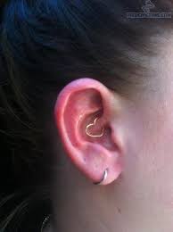 Daith Piercing Bing Images Daith Piercing Cz Ear Cuff November Birthstone Jewelry