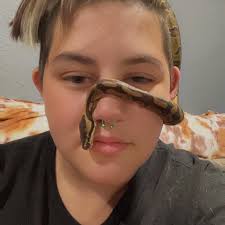 Is it normal for a ball python to be inactive during the day?