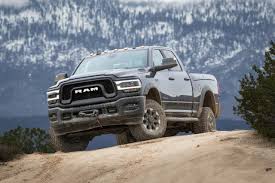 Image result for Power Tan 2020 Ram