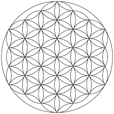 Free Free 313 Flower Svg Wiki SVG PNG EPS DXF File