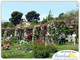 Barcelona 2021 Pictures Barcelona Rose Festival Florida resident discover disney tickets. pictures barcelona rose festival