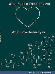 The Real Love Funsubstance Chemistry Jokes Science Humor Science Quotes