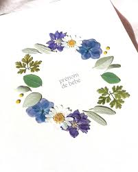Herbier De Naissance En 2020 Herbier Fleurs Pressees Deco Fleur